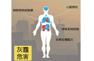 空氣中PM2.5 是由什么物質(zhì)組成的？